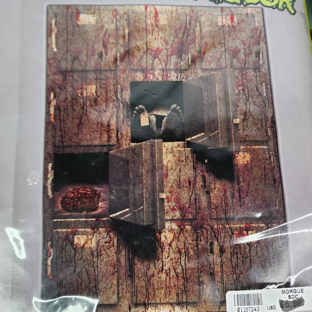 Lot of‎ 3 Spirit Halloween Wall Decor Light Up Lace Panel Morgue Giant Haunted